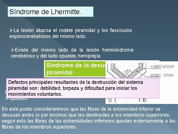 Síndrome de Lhermitte. ØLa lesión abarca el rodete piramidal y los fascículos espinocerebelosos del