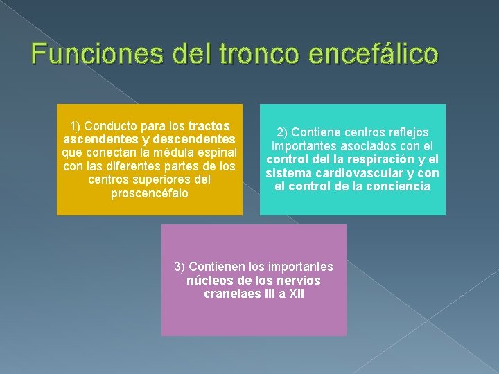 Funciones del tronco encefálico 1) Conducto para los tractos ascendentes y descendentes que conectan