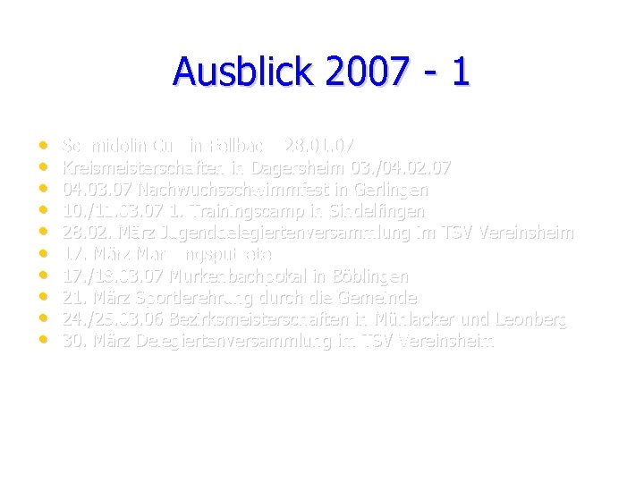 Ausblick 2007 - 1 • • • Schmidolin Cup in Fellbach 28. 01. 07