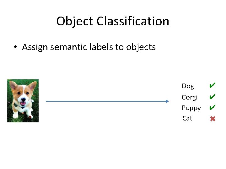 Object Classification • Assign semantic labels to objects Dog ✔ Corgi Puppy Cat ✔