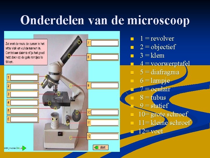 Onderdelen van de microscoop n n n 1 = revolver 2 = objectief 3