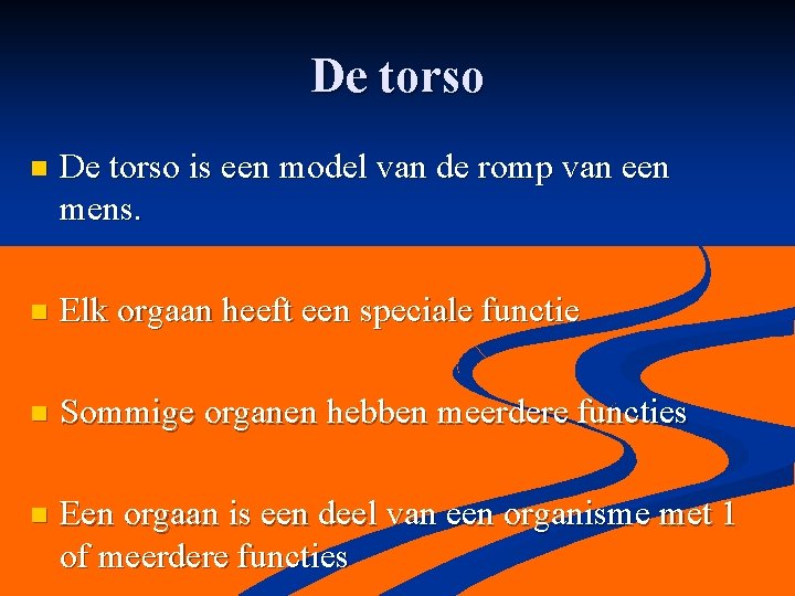 De torso n De torso is een model van de romp van een mens.