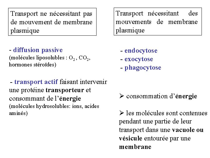 Transport ne nécessitant pas de mouvement de membrane plasmique - diffusion passive (molécules liposolubles