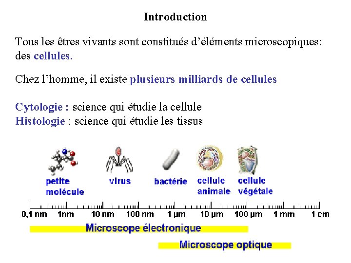 Introduction Tous les êtres vivants sont constitués d’éléments microscopiques: des cellules. Chez l’homme, il