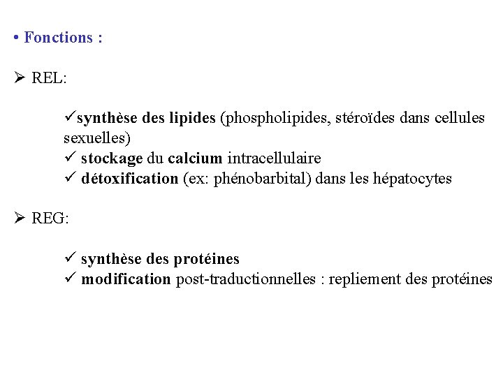  • Fonctions : Ø REL: üsynthèse des lipides (phospholipides, stéroïdes dans cellules sexuelles)