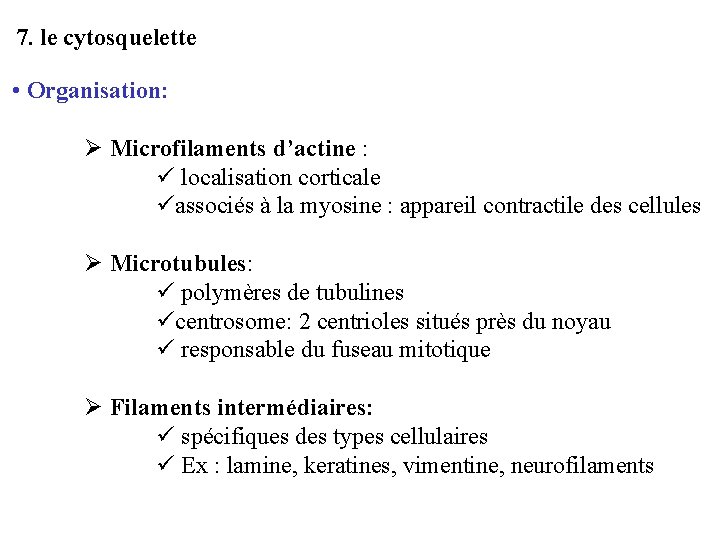 7. le cytosquelette • Organisation: Ø Microfilaments d’actine : ü localisation corticale üassociés à