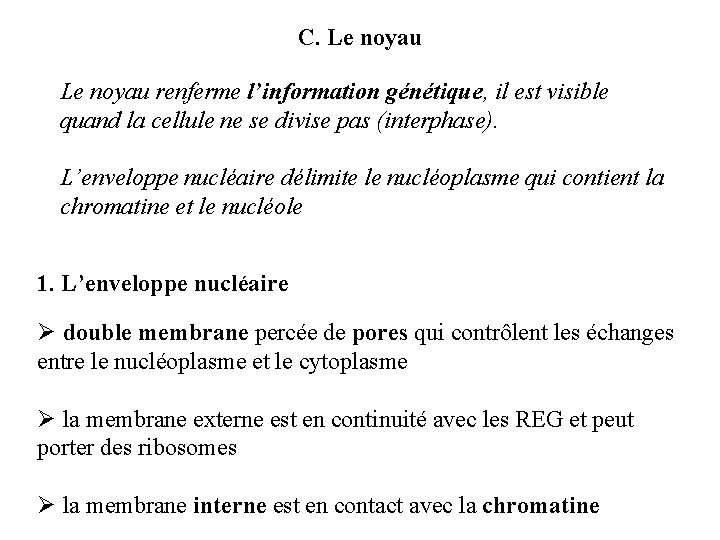 C. Le noyau renferme l’information génétique, il est visible quand la cellule ne se
