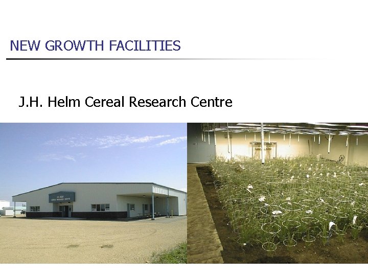 NEW GROWTH FACILITIES J. H. Helm Cereal Research Centre 