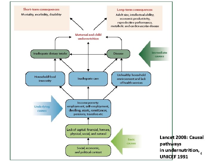  • (UN UNICEF Lancet 2008: Causal pathways in undernutrition, 4 UNICEF 1991 
