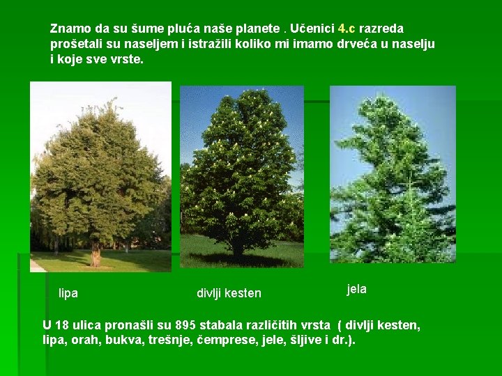 Znamo da su šume pluća naše planete. Učenici 4. c razreda prošetali su naseljem