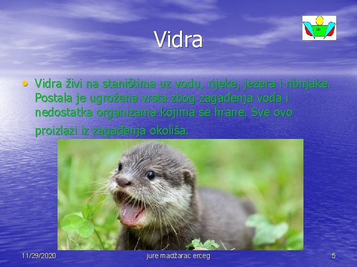 Vidra • Vidra živi na staništima uz vodu, rijeke, jezera i ribnjake. Postala je