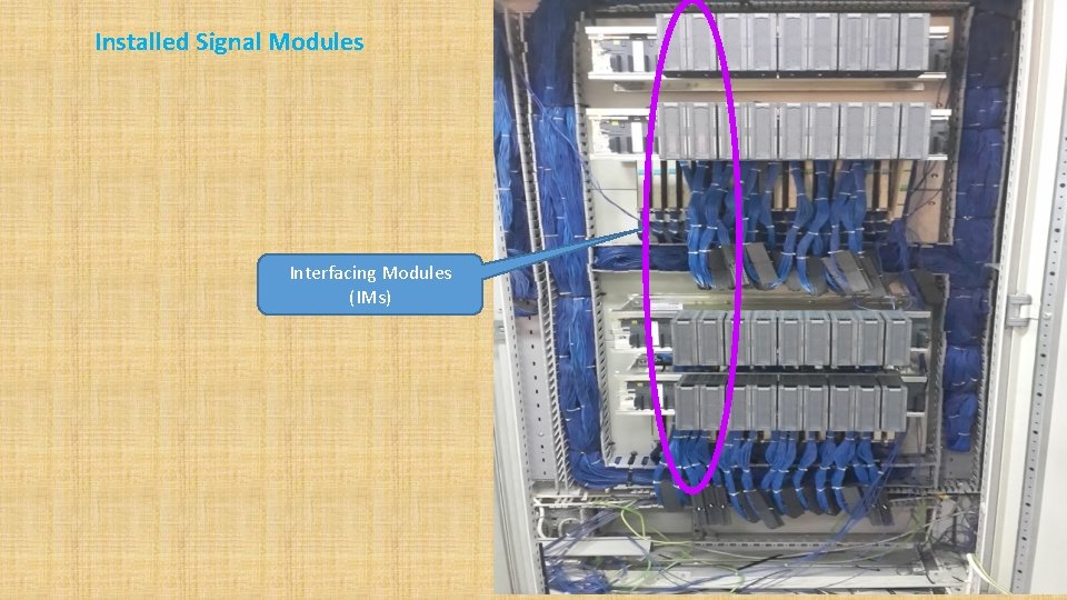 Installed Signal Modules Interfacing Modules (IMs) 