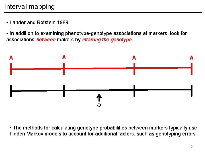 Interval mapping • Lander and Botstein 1989 • In addition to examining phenotype-genotype associations