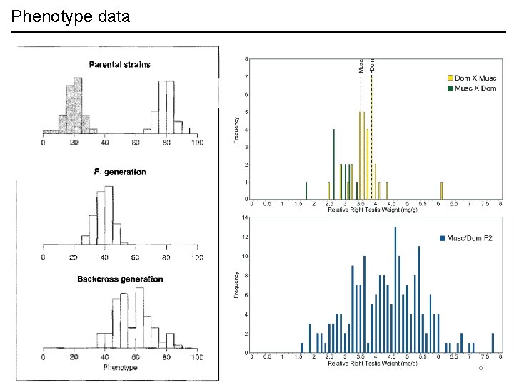 Phenotype data 8 