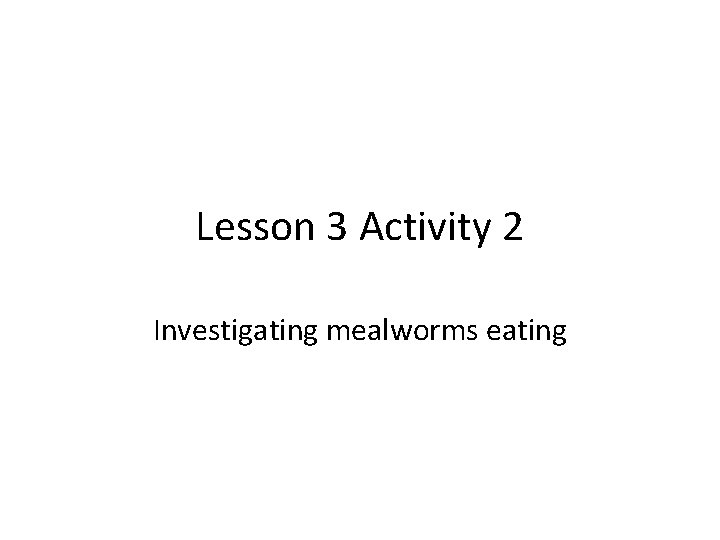 Lesson 3 Activity 2 Investigating mealworms eating 