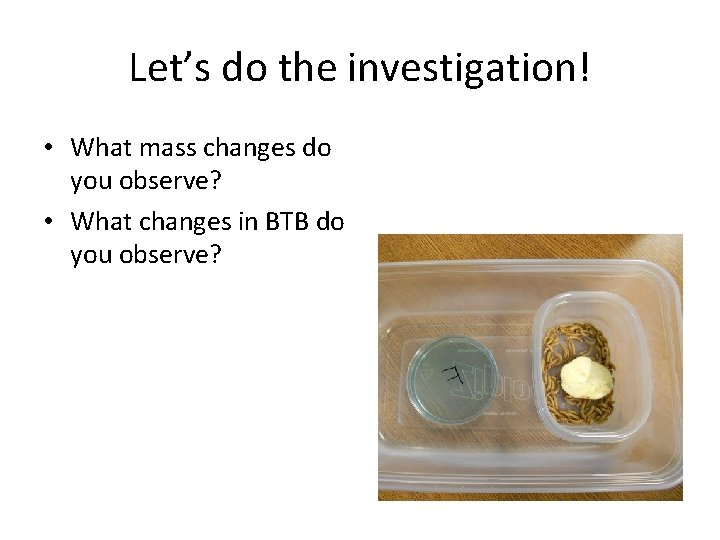 Let’s do the investigation! • What mass changes do you observe? • What changes