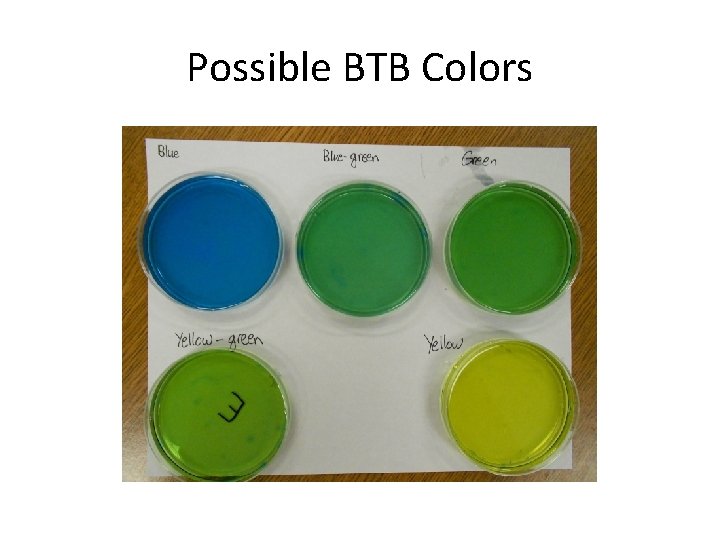 Possible BTB Colors 