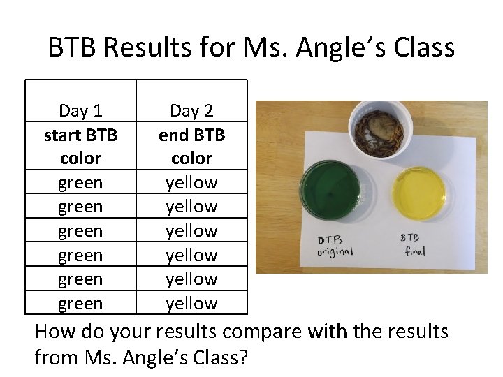 BTB Results for Ms. Angle’s Class Day 1 start BTB color green green Day