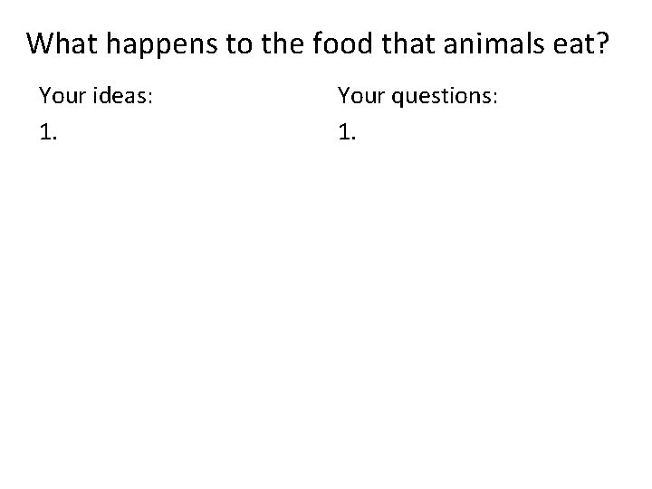 What happens to the food that animals eat? Your ideas: 1. Your questions: 1.