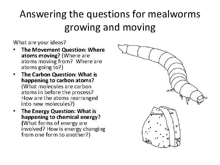Answering the questions for mealworms growing and moving What are your ideas? • The