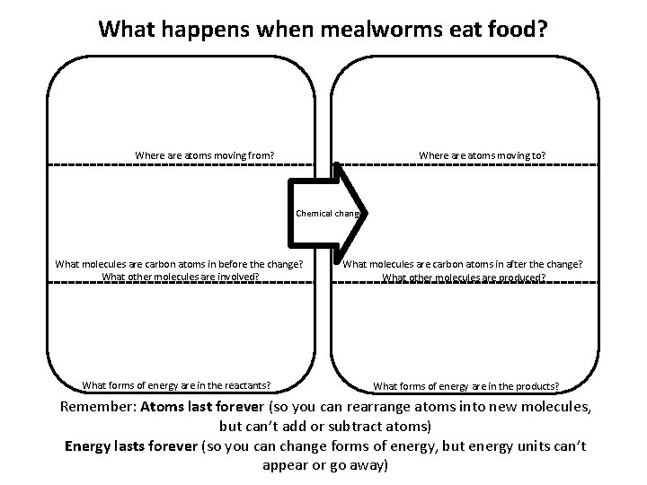 What happens when mealworms eat food? Where atoms moving to? Where atoms moving from?
