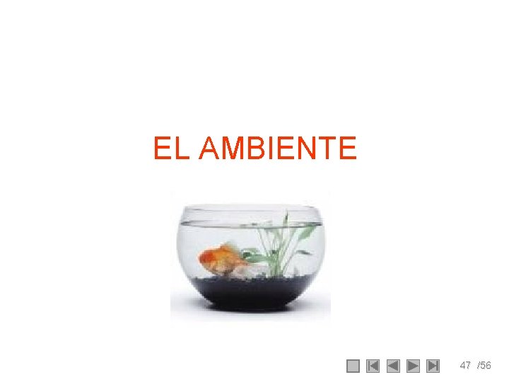 EL AMBIENTE 47 /56 EL AMBIENTE 47 /56