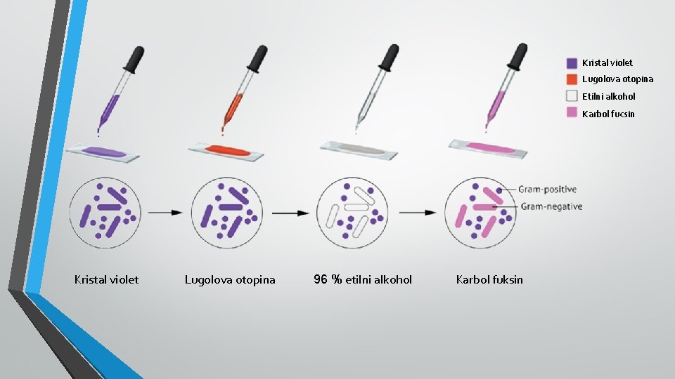 Kristal violet Lugolova otopina Etilni alkohol Karbol fucsin Kristal violet Lugolova otopina 96 %