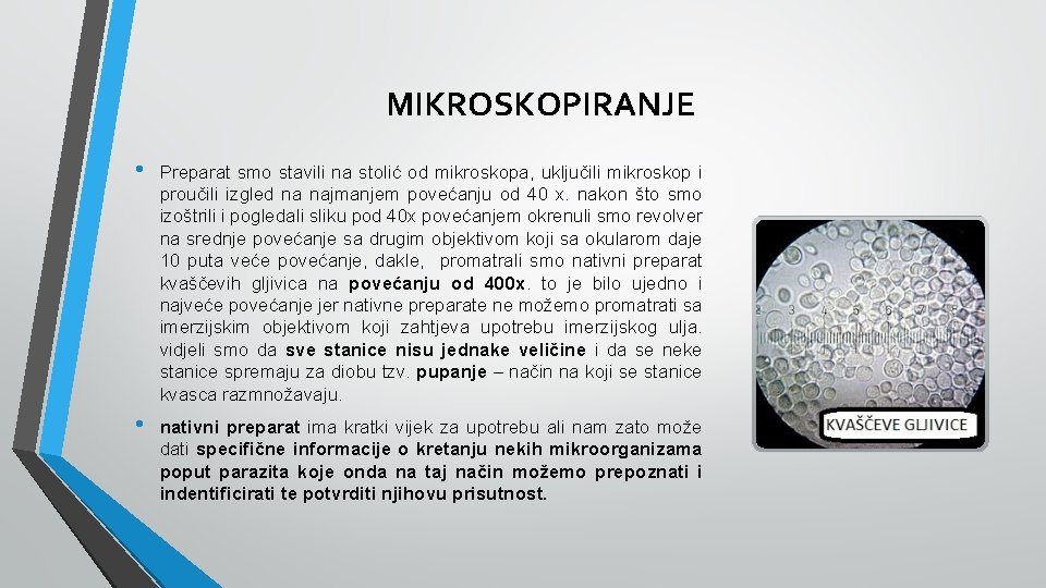 MIKROSKOPIRANJE • Preparat smo stavili na stolić od mikroskopa, uključili mikroskop i proučili izgled