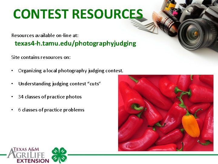 CONTEST RESOURCES Resources available on-line at: texas 4 -h. tamu. edu/photographyjudging Site contains resources