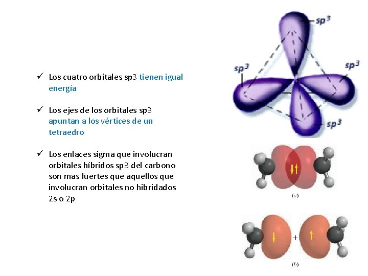 ü Los cuatro orbitales sp 3 tienen igual energía ü Los ejes de los