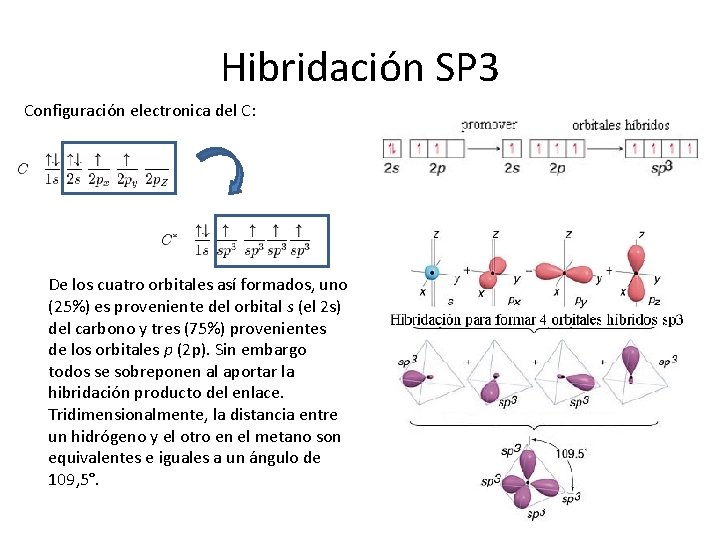 Hibridación SP 3 Configuración electronica del C: De los cuatro orbitales así formados, uno