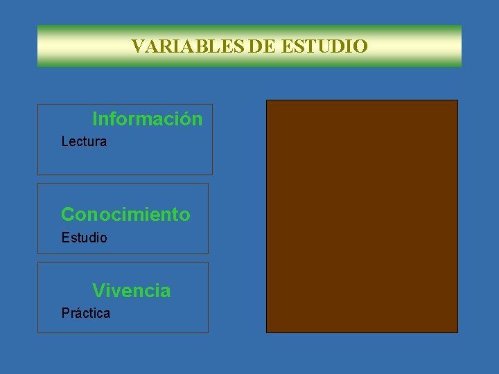 VARIABLES DE ESTUDIO Información Lectura Conocimiento Estudio Vivencia Práctica Ciencia Consciencia Autoconocimiento Reforma Íntima