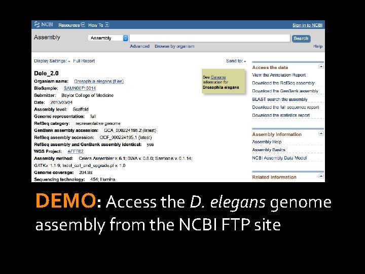 DEMO: Access the D. elegans genome assembly from the NCBI FTP site 