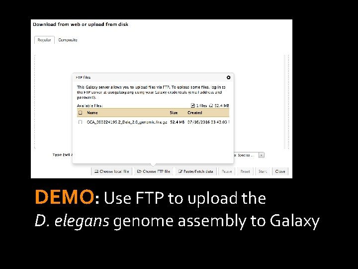 DEMO: Use FTP to upload the D. elegans genome assembly to Galaxy 