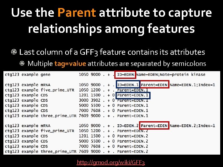 Use the Parent attribute to capture relationships among features Last column of a GFF