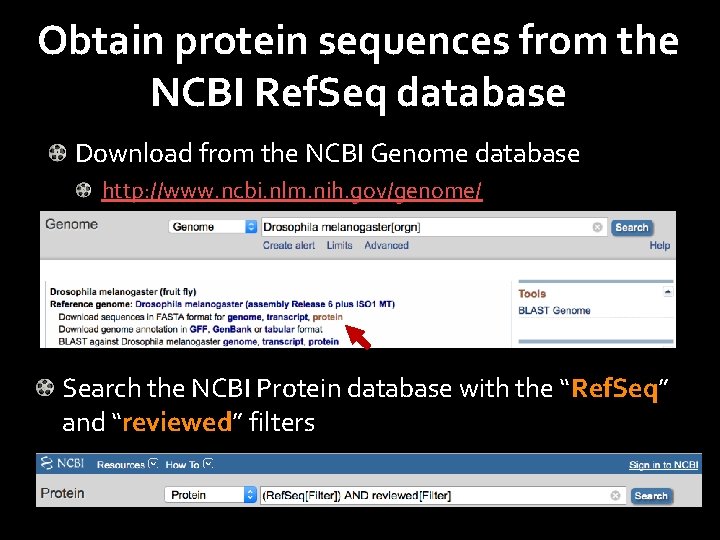 Obtain protein sequences from the NCBI Ref. Seq database Download from the NCBI Genome