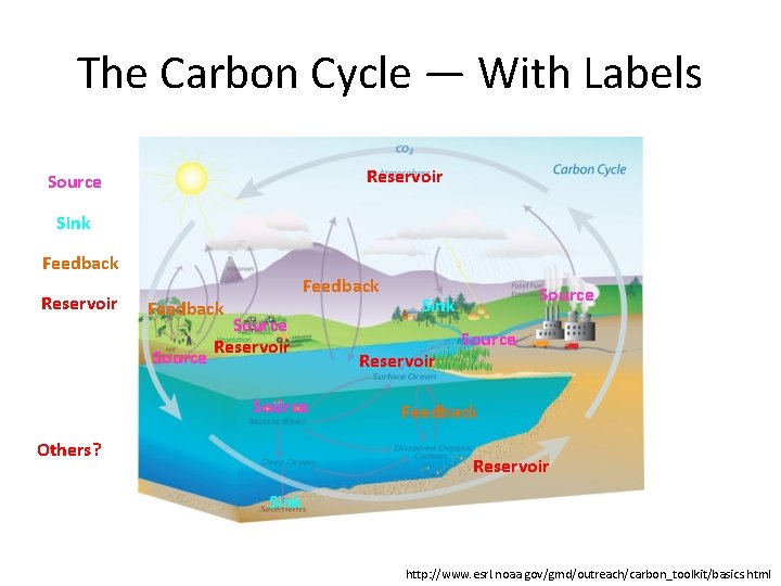 The Carbon Cycle — With Labels Reservoir Source Sink Feedback Reservoir Feedback Source Reservoir