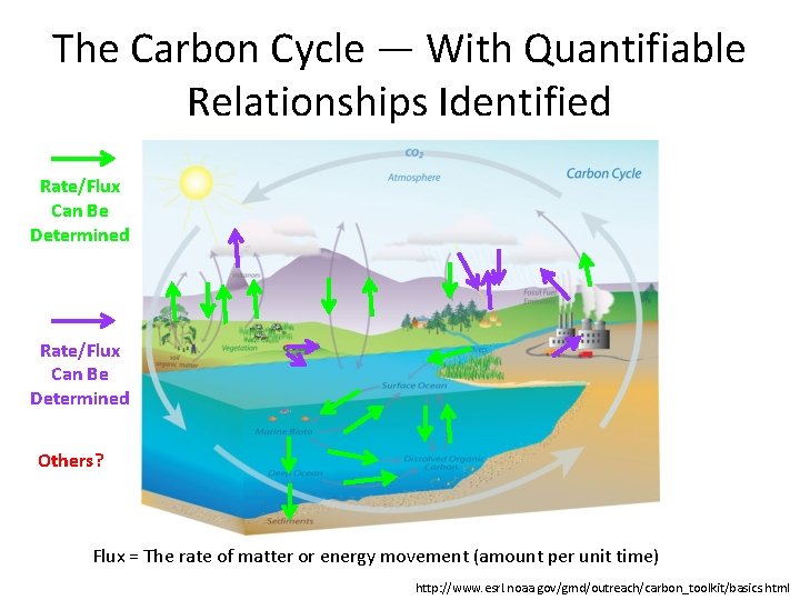 The Carbon Cycle — With Quantifiable Relationships Identified Rate/Flux Can Be Determined Others? Flux