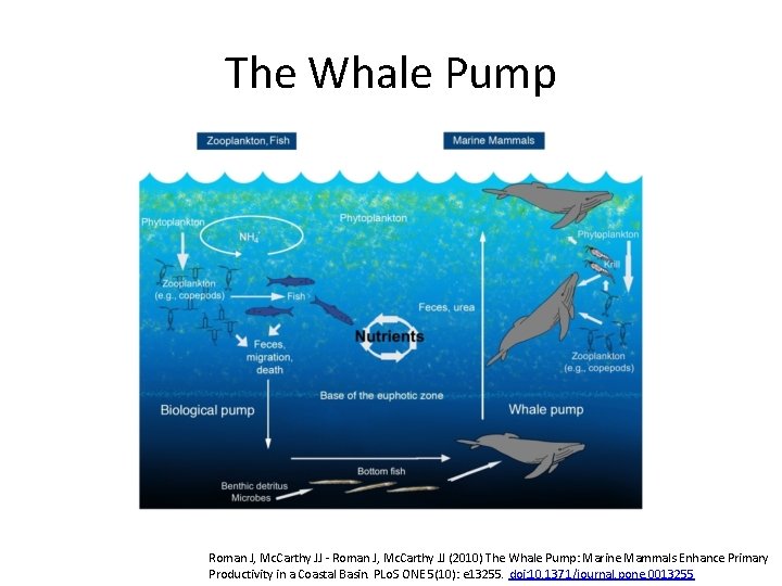 The Whale Pump Roman J, Mc. Carthy JJ - Roman J, Mc. Carthy JJ