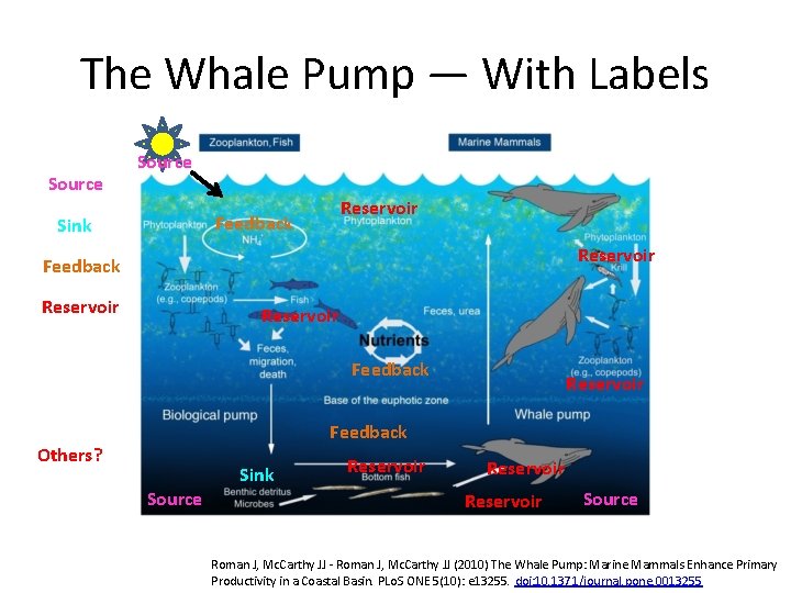 The Whale Pump — With Labels Source Reservoir Feedback Sink Reservoir Feedback Others? Source