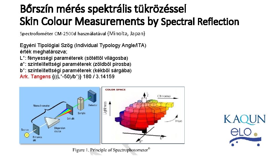 Bőrszín mérés spektrális tükrözéssel Skin Colour Measurements by Spectral Reflection Spectrofométer CM-2500 d használatával