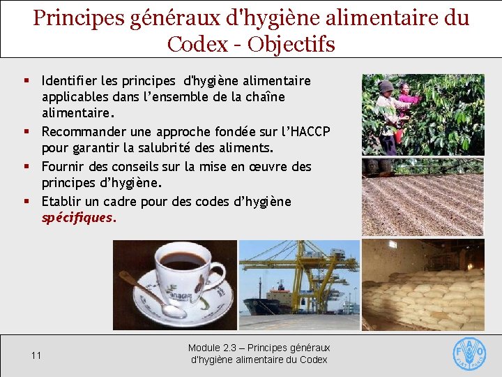 Principes généraux d'hygiène alimentaire du Codex - Objectifs § Identifier les principes d'hygiène alimentaire