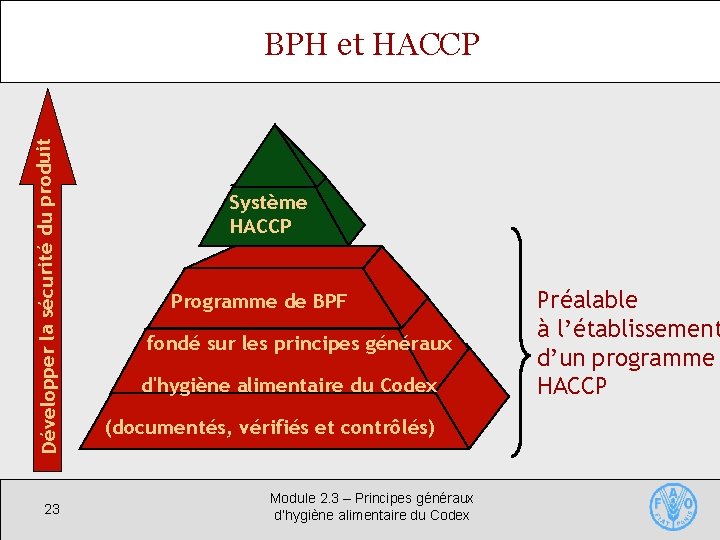 Développer la sécurité du produit BPH et HACCP 23 Système HACCP Programme de BPF