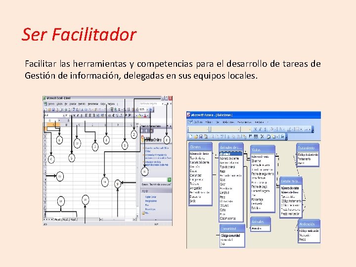 Ser Facilitador Facilitar las herramientas y competencias para el desarrollo de tareas de Gestión