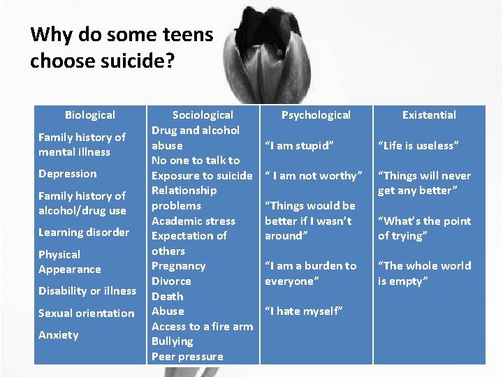 Why do some teens choose suicide? Biological Family history of mental illness Depression Family