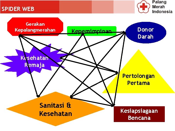 SPIDER WEB Gerakan Kepalangmerahan Kepemimpinan Donor Darah Kesehatan Remaja Pertolongan Pertama Sanitasi & Kesehatan