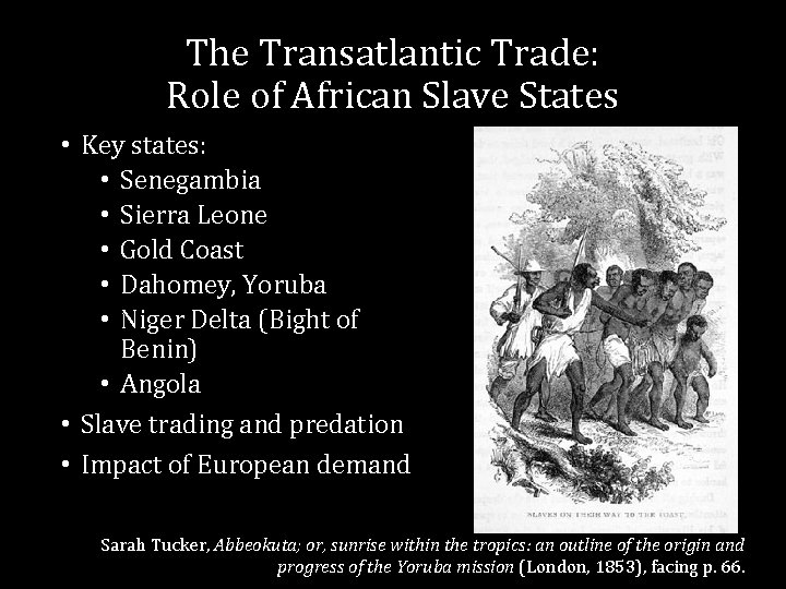 The Transatlantic Trade: Role of African Slave States • Key states: • Senegambia •