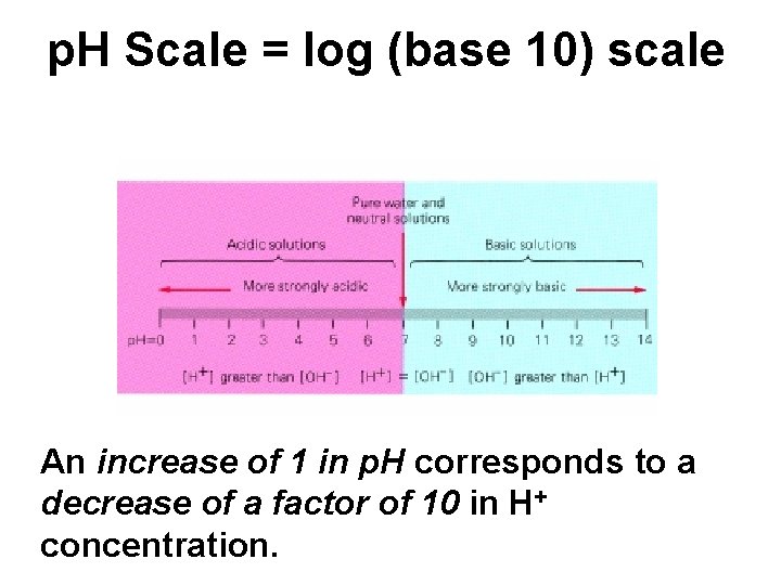 p. H Scale = log (base 10) scale p. H is. . Big in