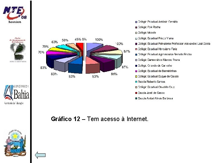 Gráfico 12 – Tem acesso à Internet. 