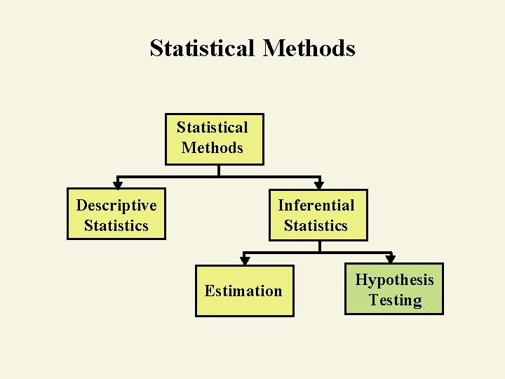 Statistical Methods Descriptive Statistics Inferential Statistics Estimation Hypothesis Testing 